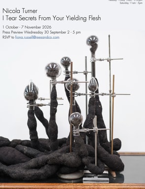 Annely Juda Fine Art presents Nicola Turner's first gallery solo exhibition