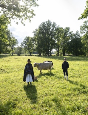 Latvian National Museum of Art presents environmental exhibition 'A Journey to Marsi'