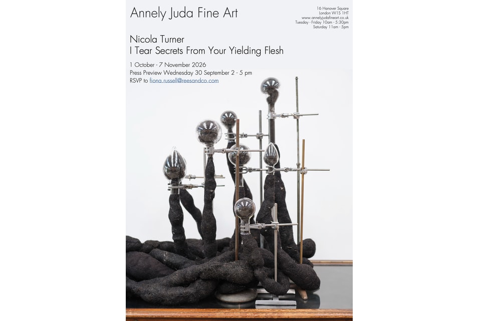 Annely Juda Fine Art presents Nicola Turner's first gallery solo exhibition