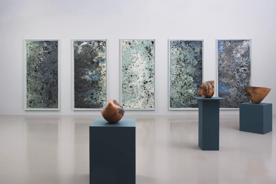 Collection Council selects work by Adebunmi Gbadebo for 2025-2026 acquisition