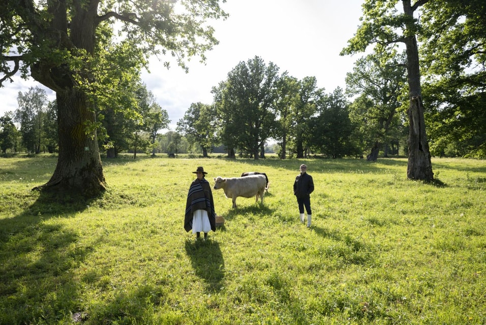 Latvian National Museum of Art presents environmental exhibition 'A Journey to Marsi'