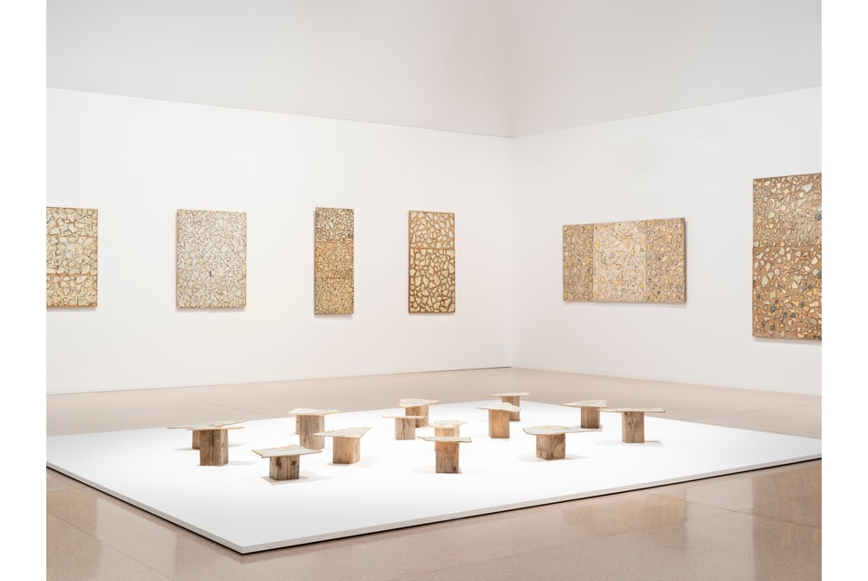 Rosalie Gascoigne returns home in major National Gallery retrospective